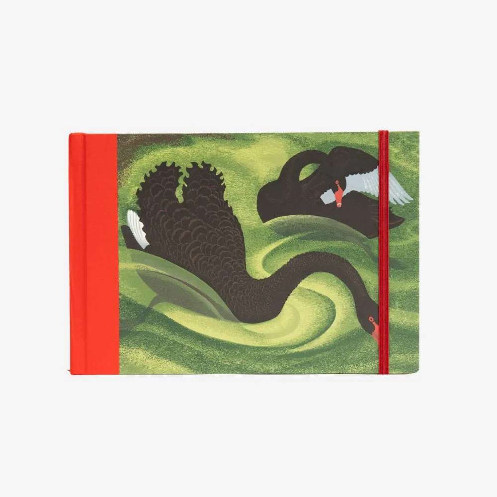 Eileen Mayo - Journal - Black Swans
