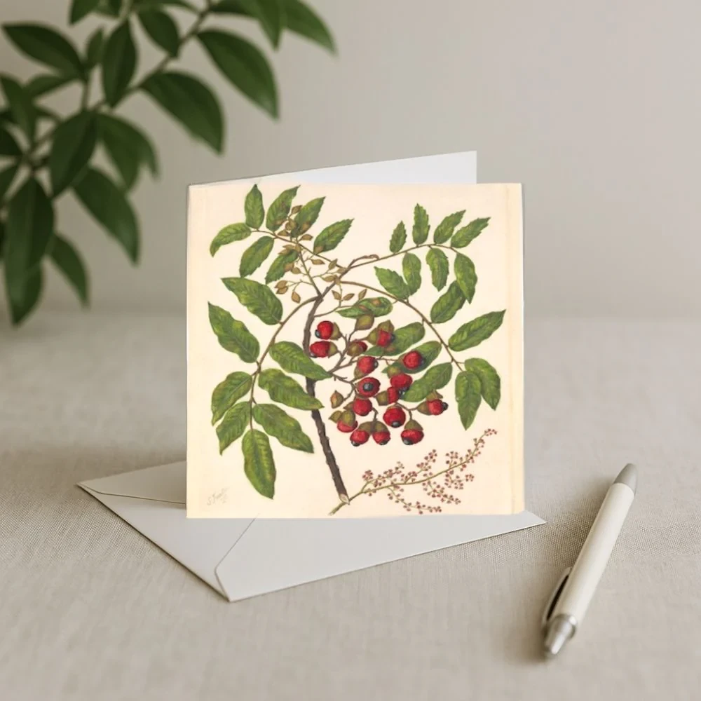 Sarah Featon - Card - Titoki