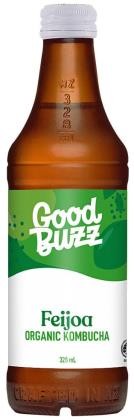 Drink Kombucha Feijoa