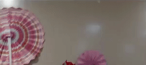 R C Car Rechargeable 360Rotating Laser Guided Wall Climber For Floor