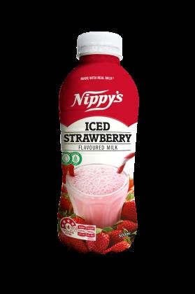 Milk Iced Strawberry 500ml Bottle - Dry Store
