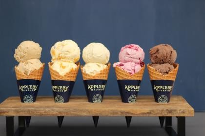 Ice Cream Bean Vanilla