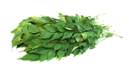 Curry Leaves
