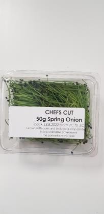 Microgreen Spring Onion