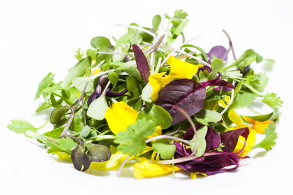 Microgreens Asian Blend