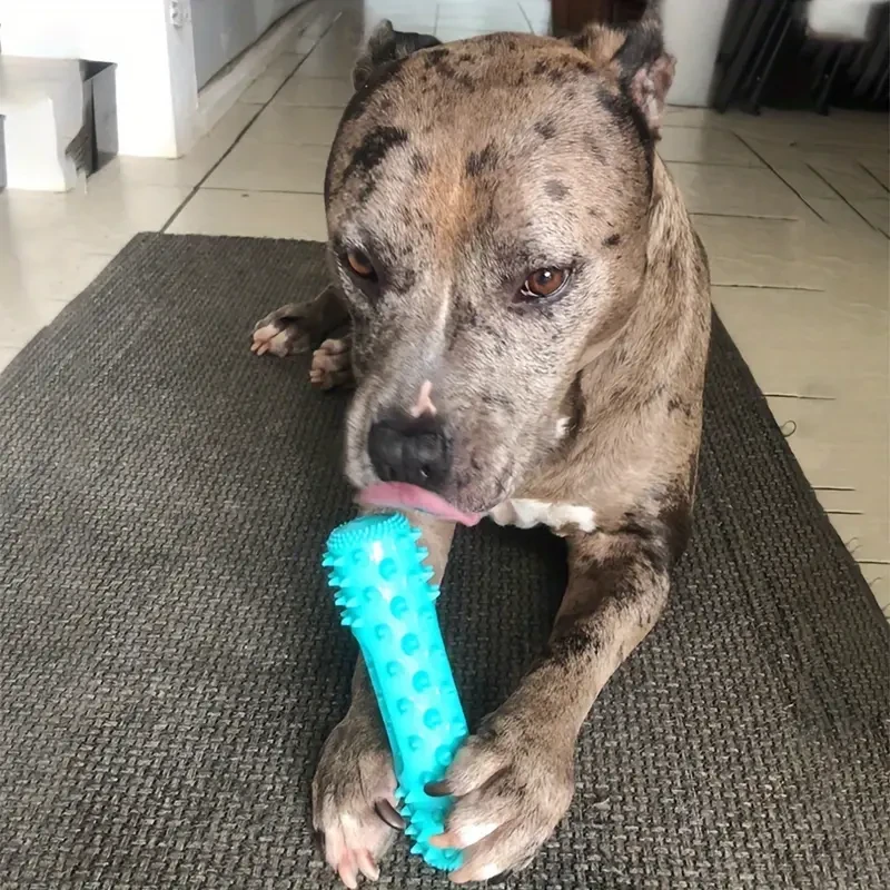 Durable Dog Toothbrush - Pet Molar Stick & Chew Toy for Dental Health