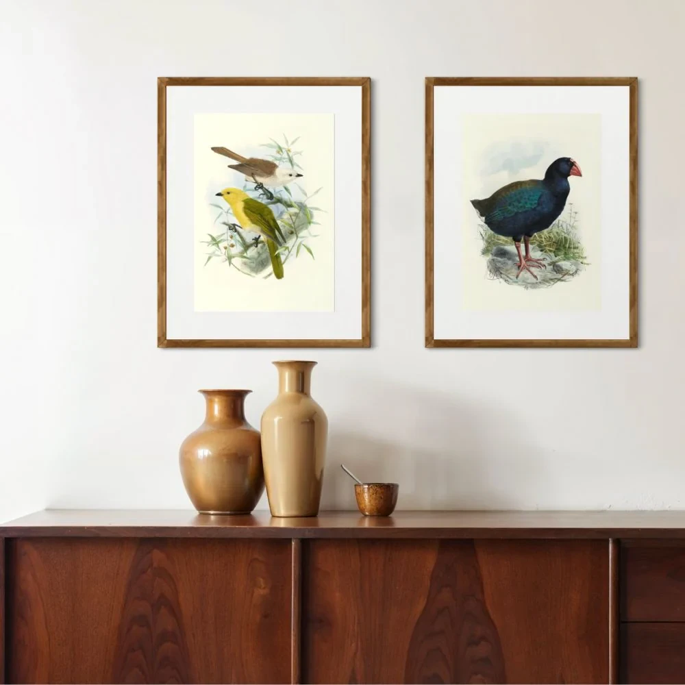 Johannes Keulemans - Print - Yellowhead - Mohua and Whitehead - Popokotea