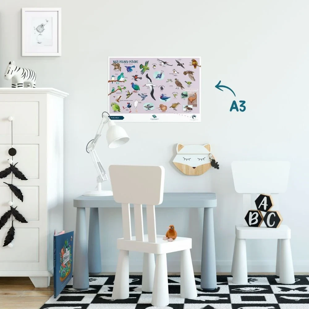 Poster A3 - Native Birds - Te Reo Mori