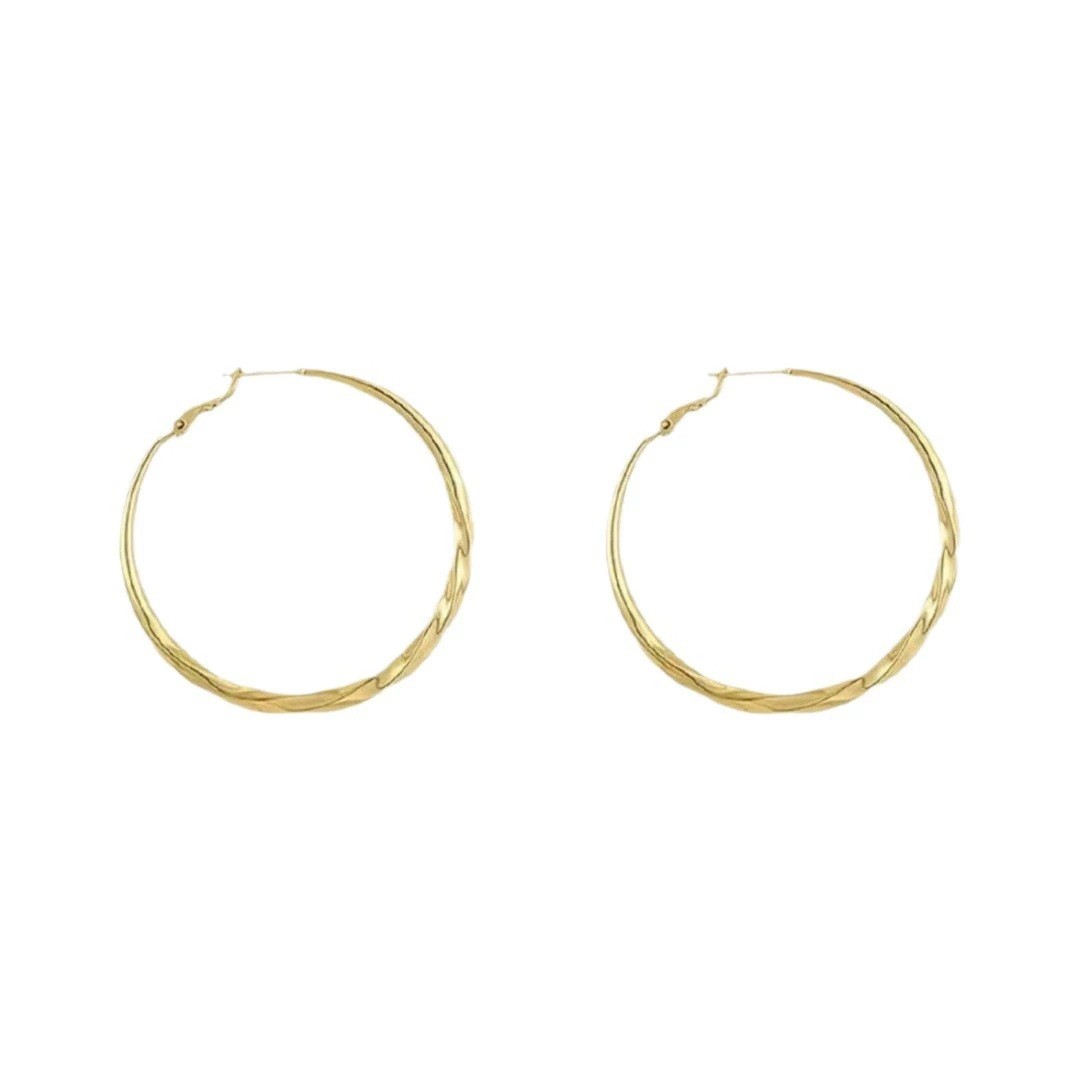 Twisted Eyelet Simple And Stylish Earrings