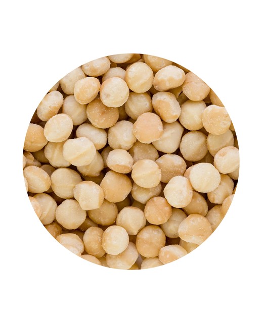 Raw Macadamia Nuts Whole