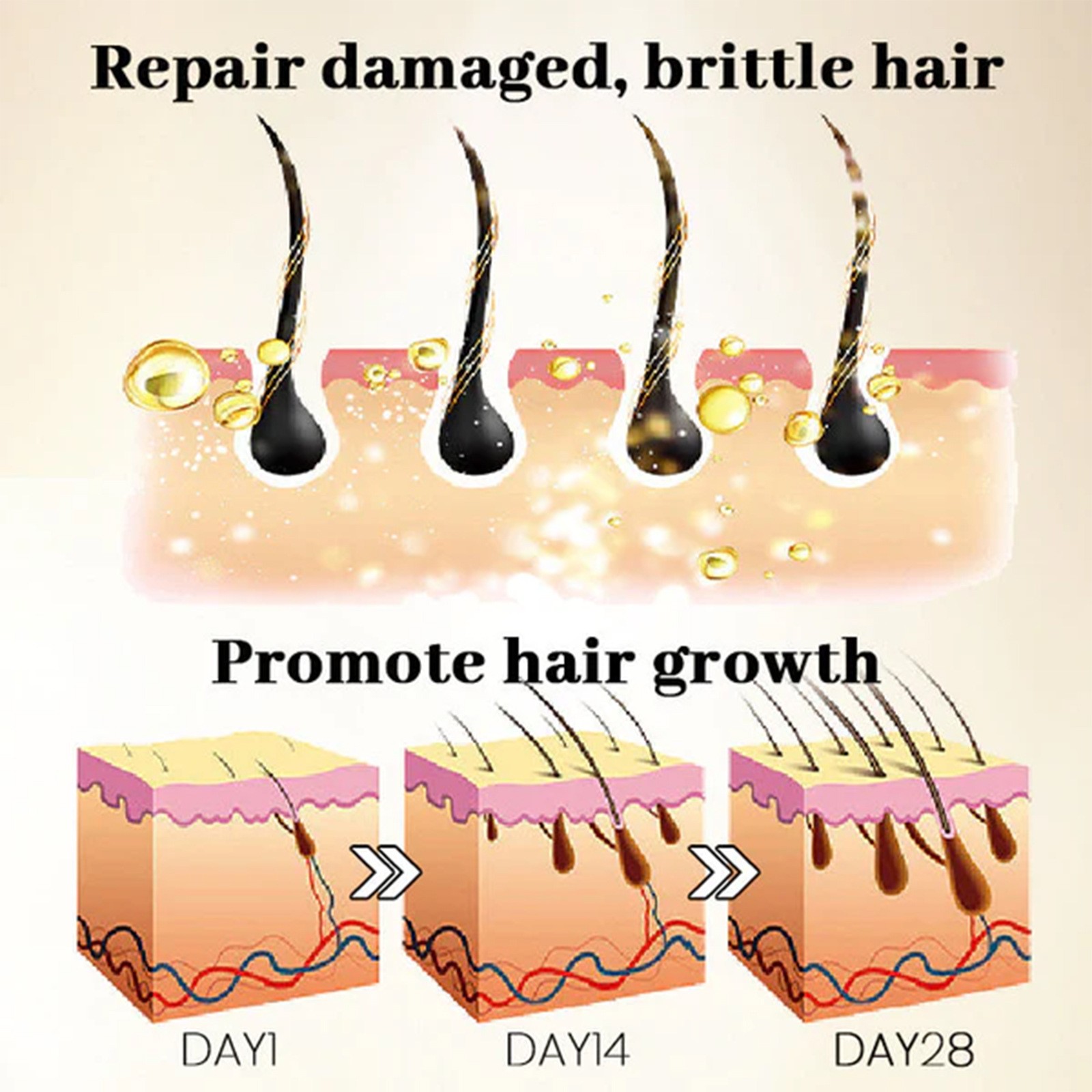 Ginseng Gentle Moisturizing Scalp Hair Massage Ball