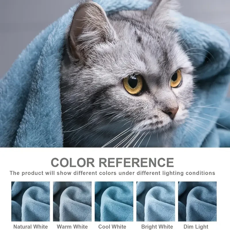 Blue Plush Flannel Blanket