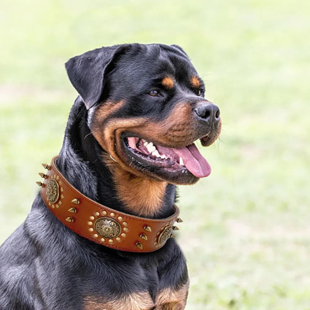 Leather Dog Collar