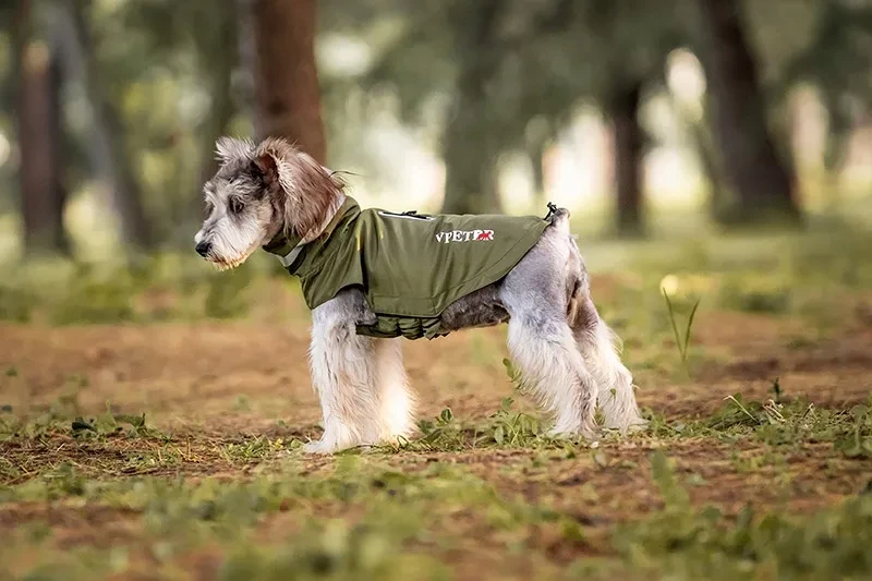 Dog Rain Coats