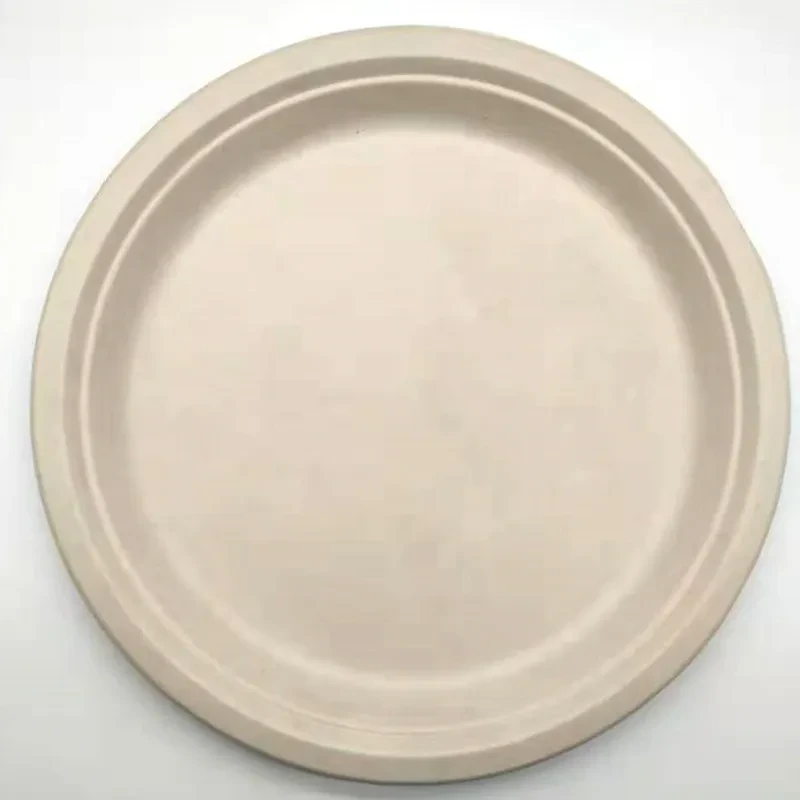 Compartment Disposable Plates
