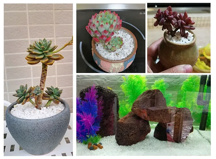 Small White Stones For Garden