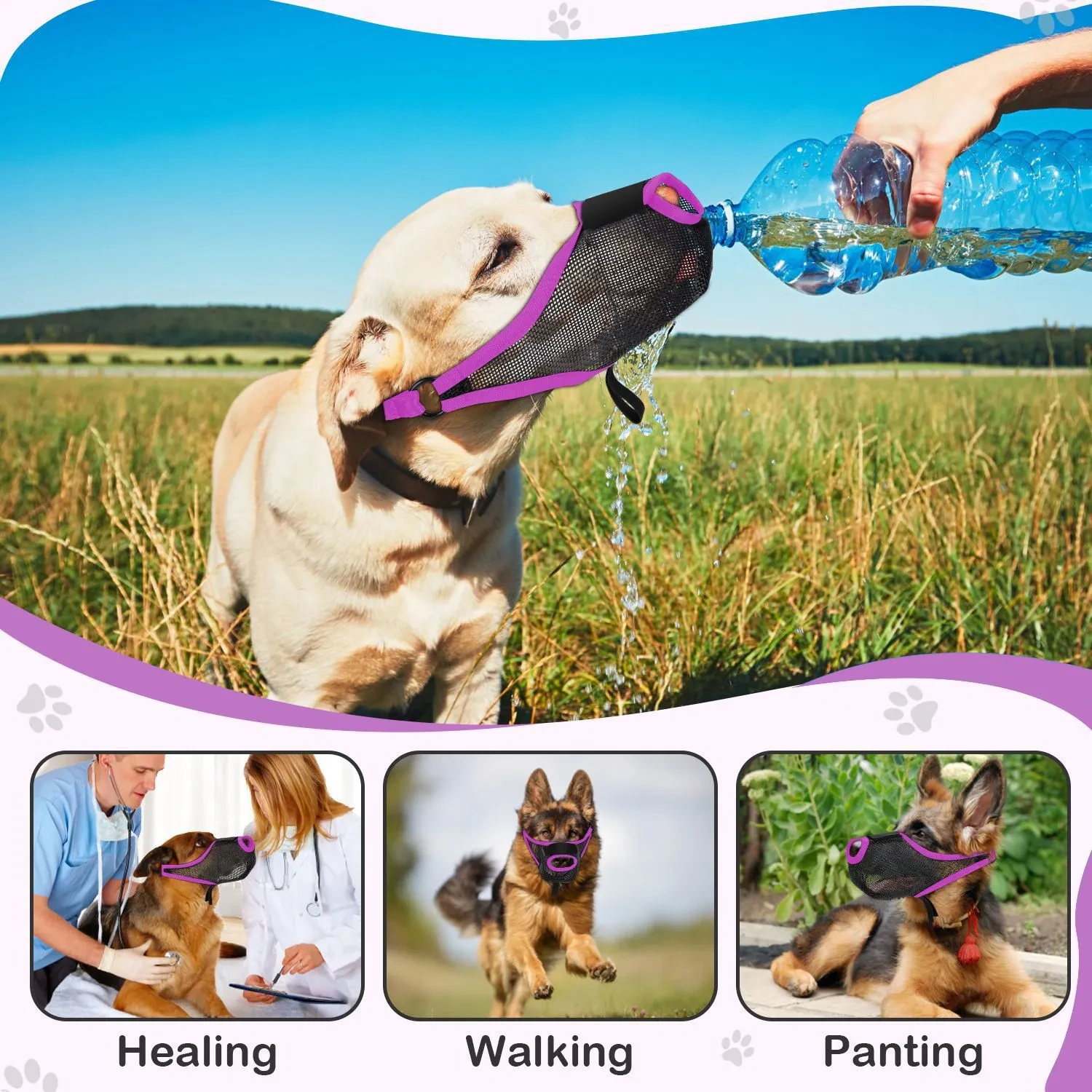 A Muzzle For A Small Dog