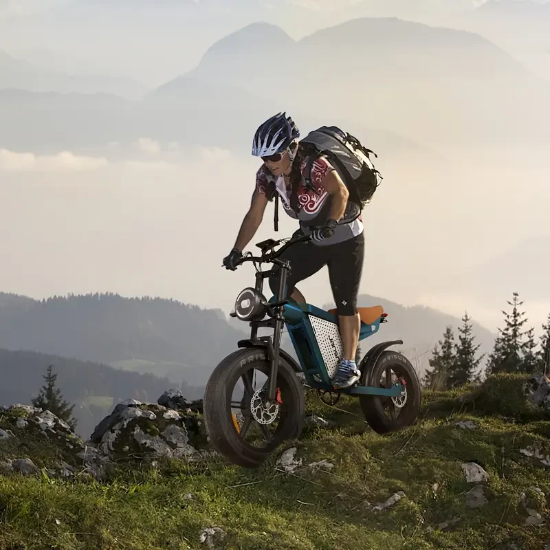 JANSNO 50.8cm Fat Tire Electric Bike for Adults  500W Brushless Motor, Dual Suspension & 48V 23Ah Battery