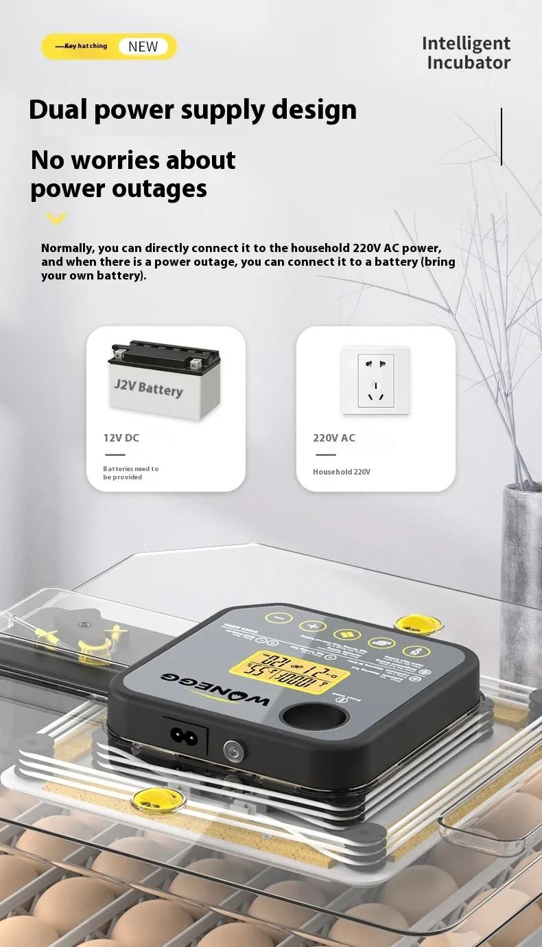 Automatic Egg Incubator
