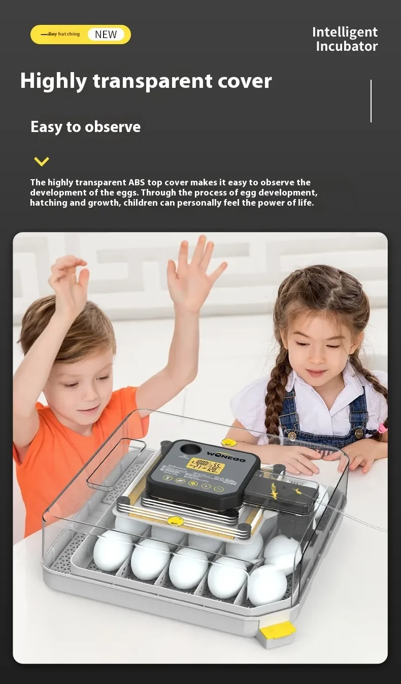 Automatic Egg Incubator