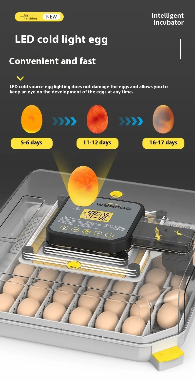 Automatic Egg Incubator