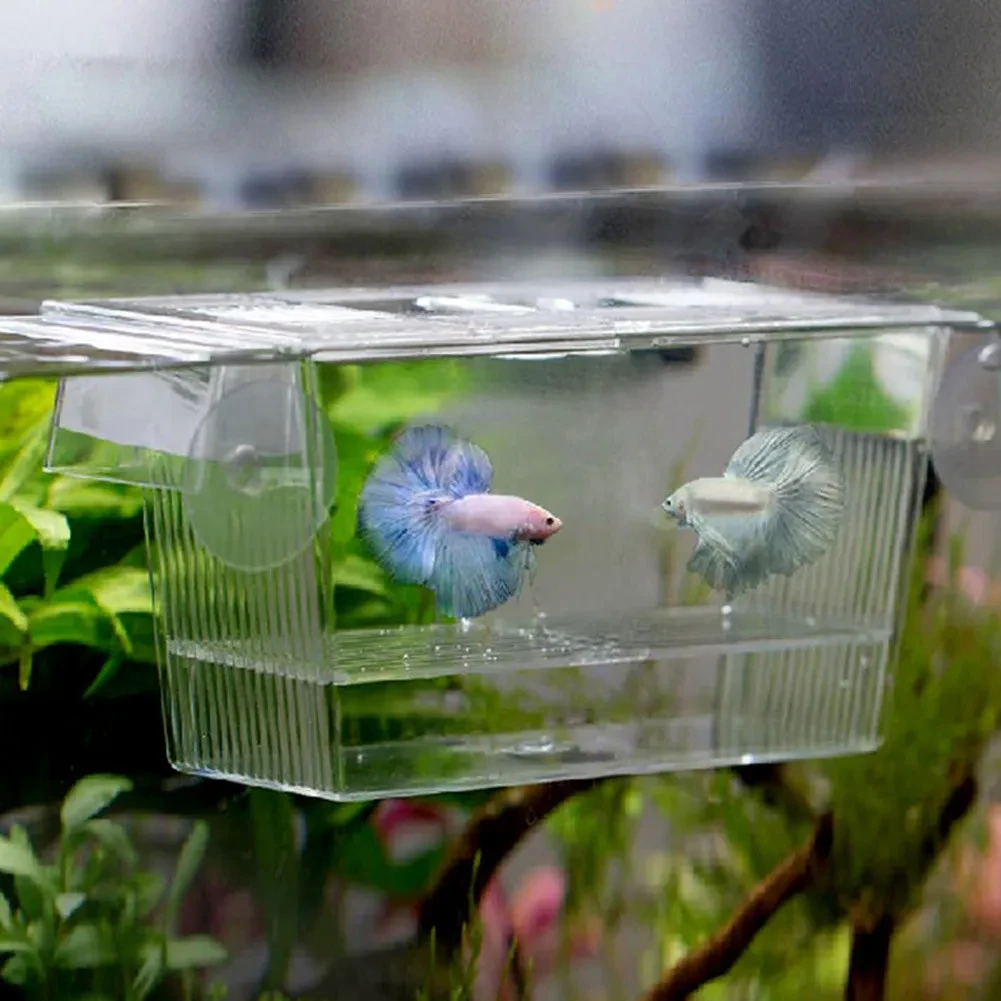 Fish Tank With Lid