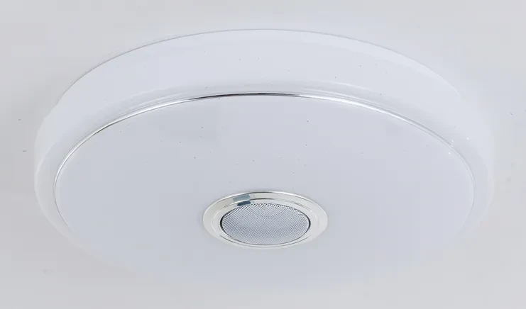 LED Ceiling Light