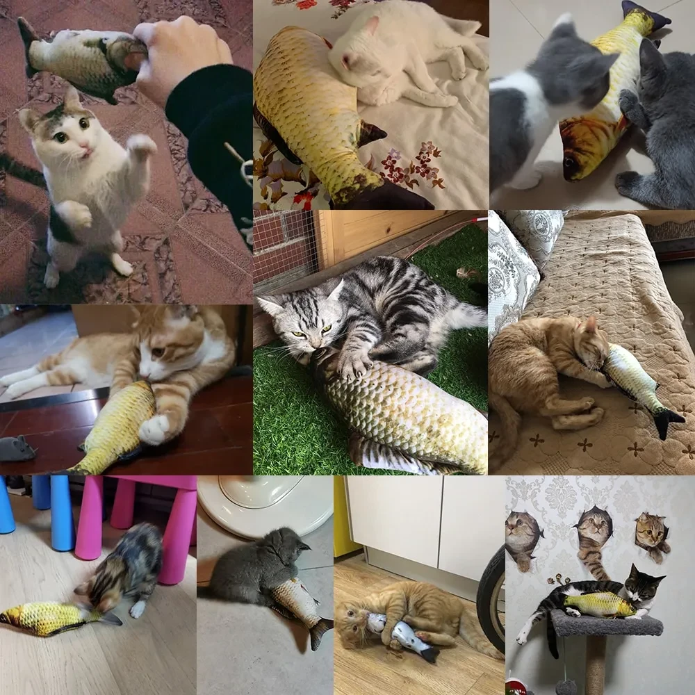 Realistic Fish Plush Toys for Cats