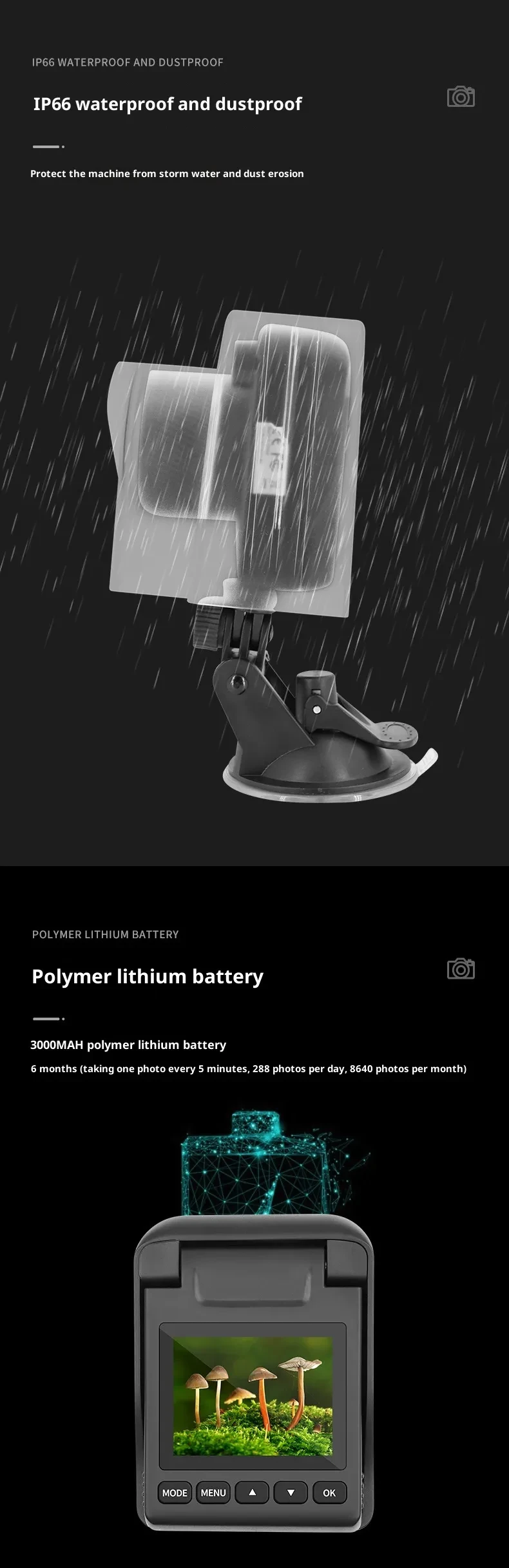 Waterproof Adjustable Focal Flowers And Plants Recording Shrinking Photography Camera