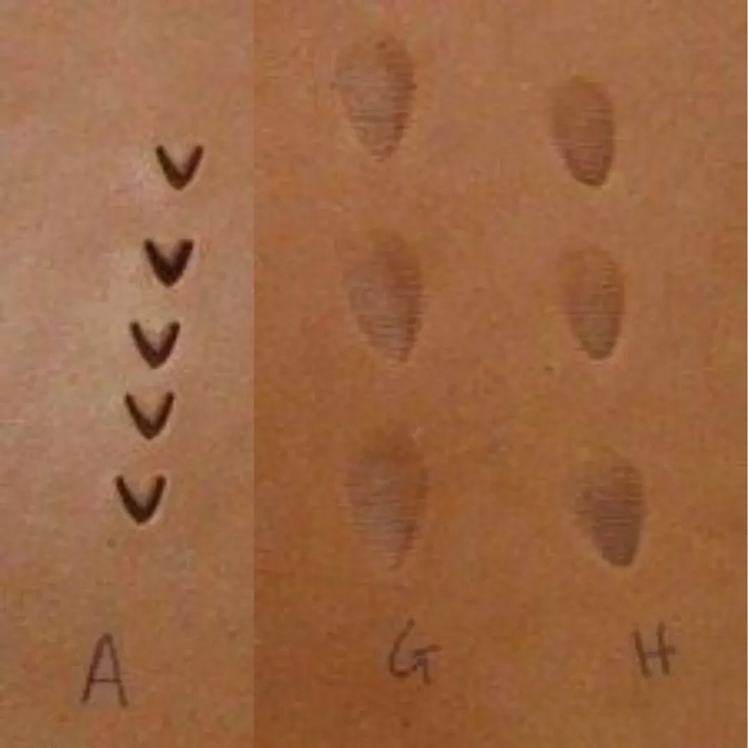 LEATHER STAMPS ASSORTED