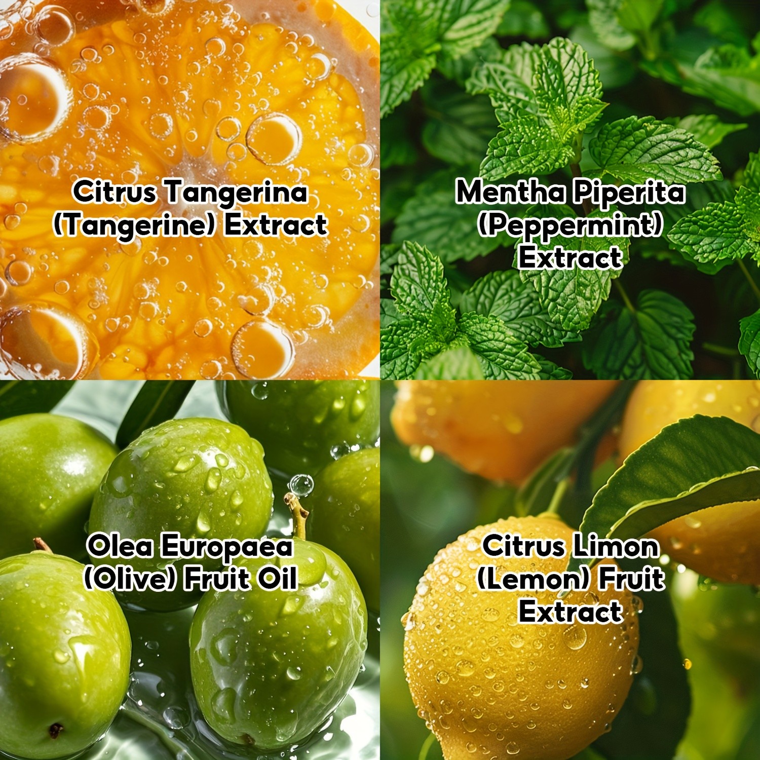 SUMAX Mens & Womens Citrus Deodorizing Fragrance Spray Long-Lasting Fresh Citrus Aroma in a Sleek Travel Bottle