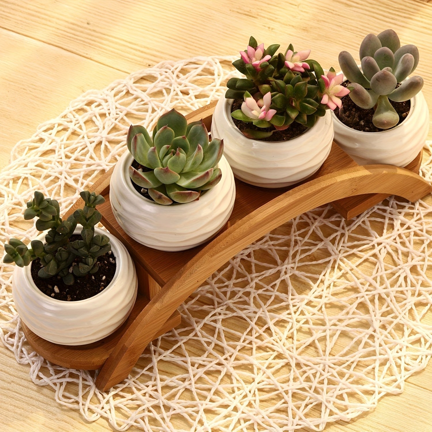 CEEFU 4-Pot Ceramic Succulent Planter Set with Stand  Modern White Ripple-Texture Pots with Drainage for Indoor & Outdoor Plants