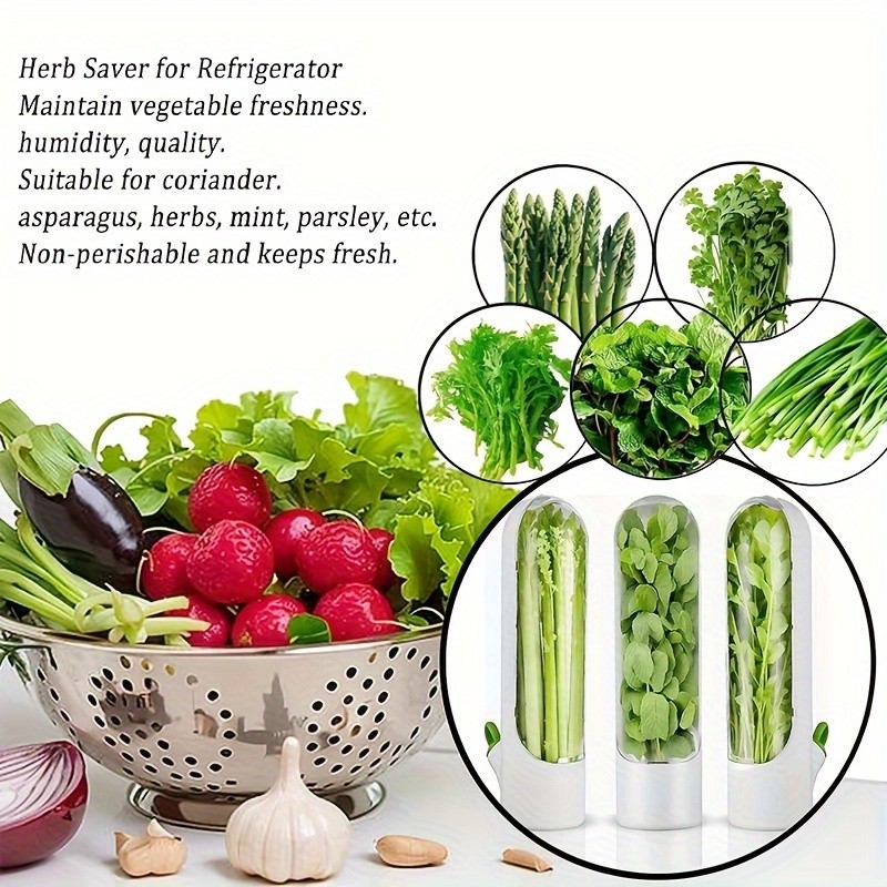 YUHUPHYLLIC Herb & Vegetable Preservation Pod  Fresh Coriander & Mint Container for Long-Lasting NZ Fridge Storage