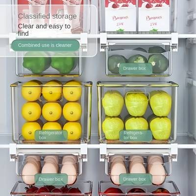 FARIDABIO 2pcs Refrigerator Storage Box  Wall Hanging, Space-Saving Food Storage Organizer