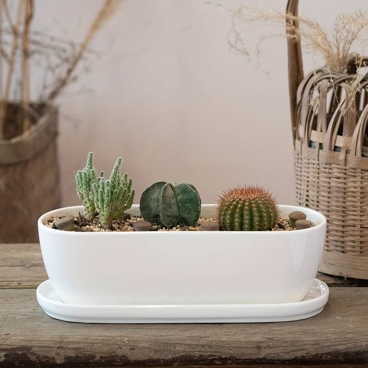1pc Oval Ceramic Planter Pot with Drainage Hole Saucers  Stylish Planter for Succulents, Herbs, and Cactus