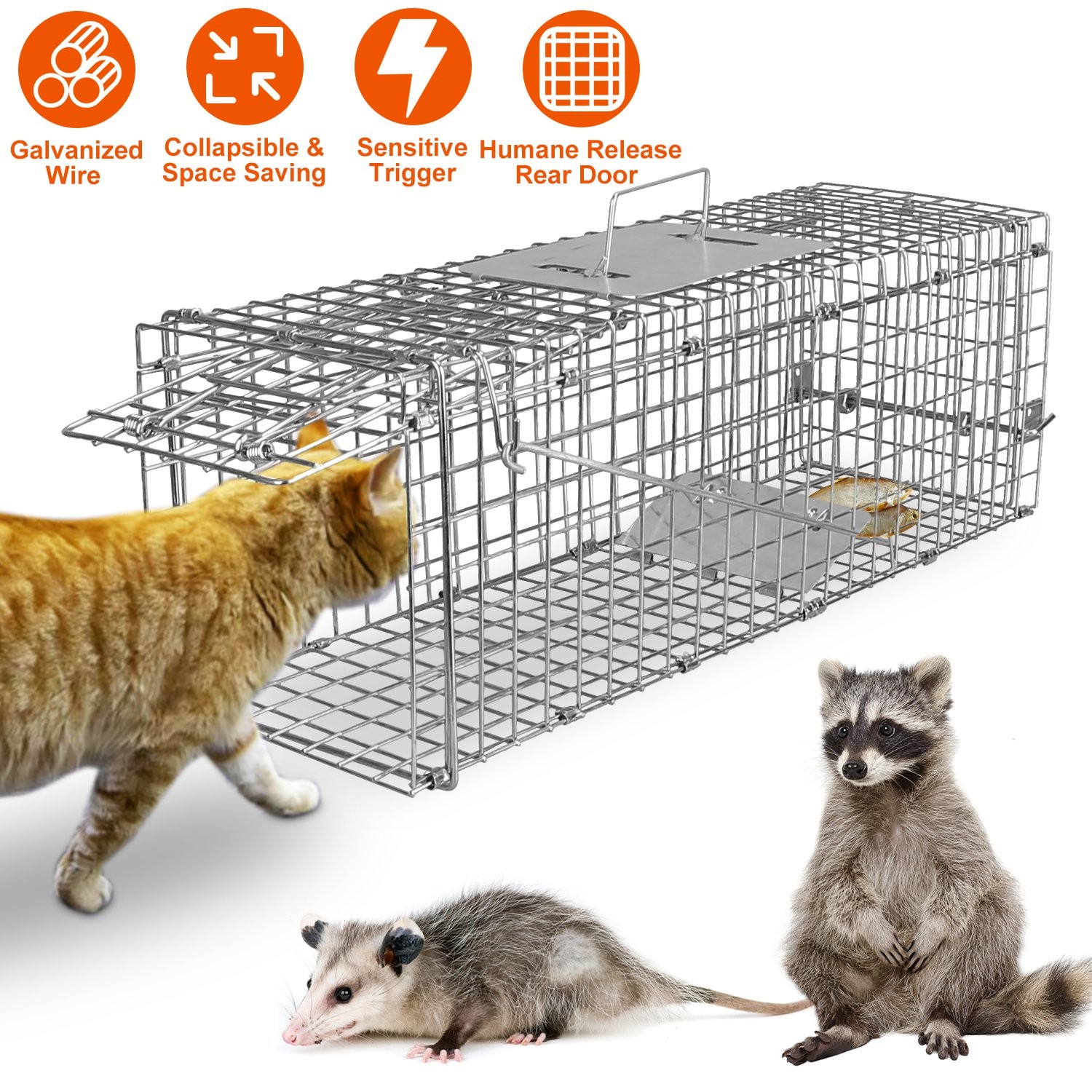 Portable Folding Animal Trap