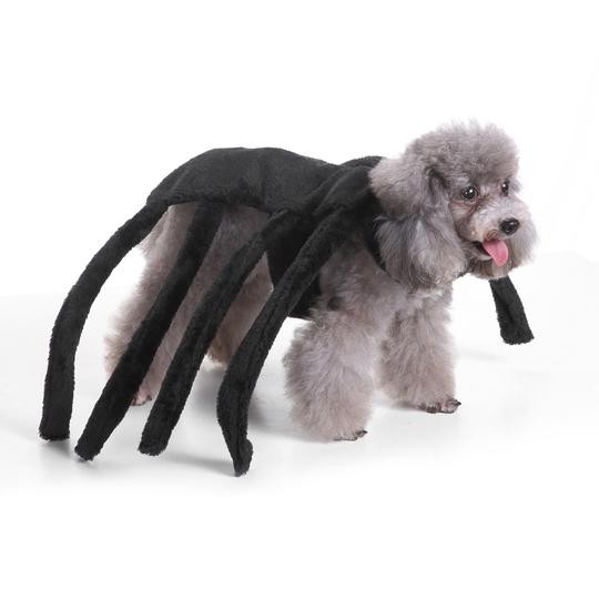 Animal Costume For Dog