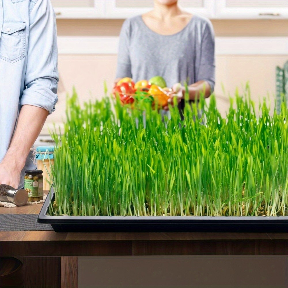 GMMLAIJH 10pcs Heavy Duty Seed Starter Trays