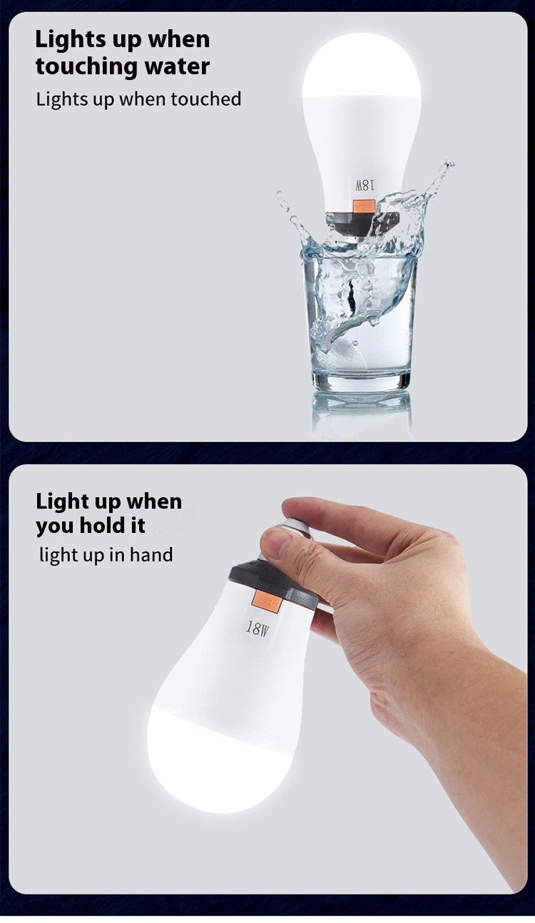 LED White Light Bulb