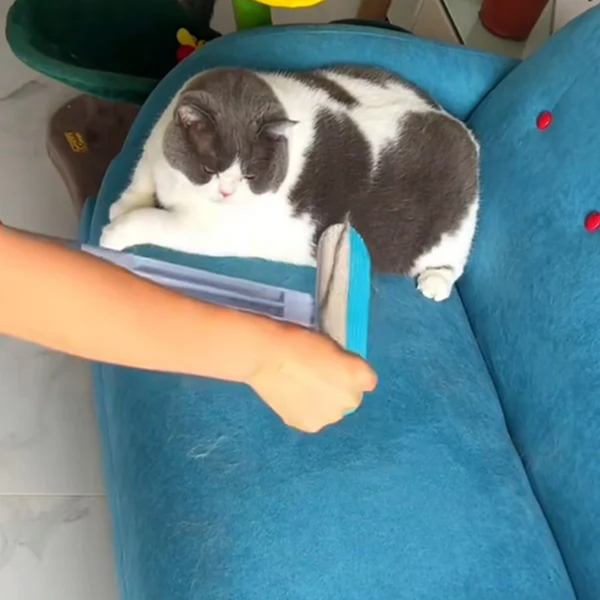 4-in-1 Multifunctional Hair Removal Brush