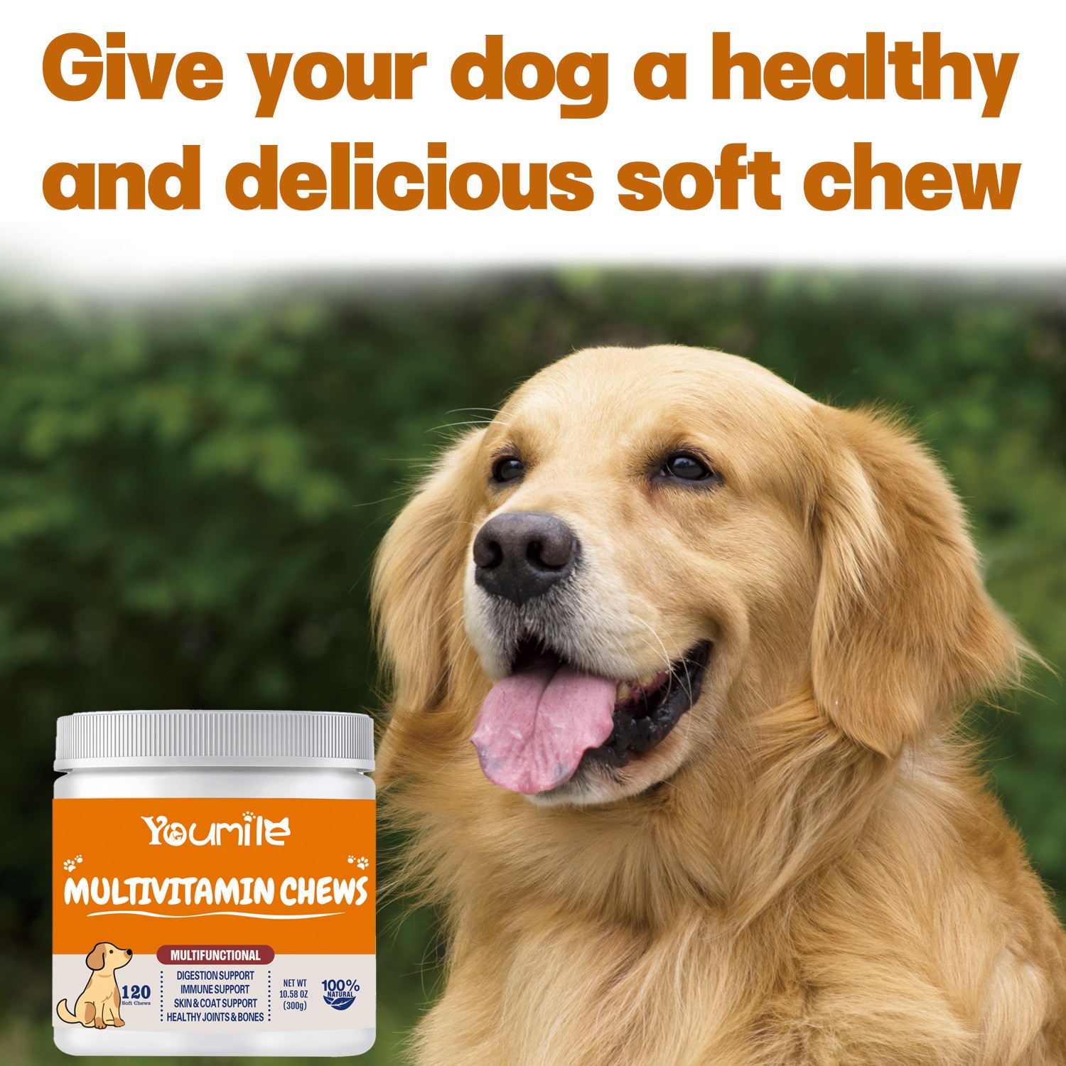 Youmile Multivitamin Chews  Daily Multifunctional Nutrition for Dogs
