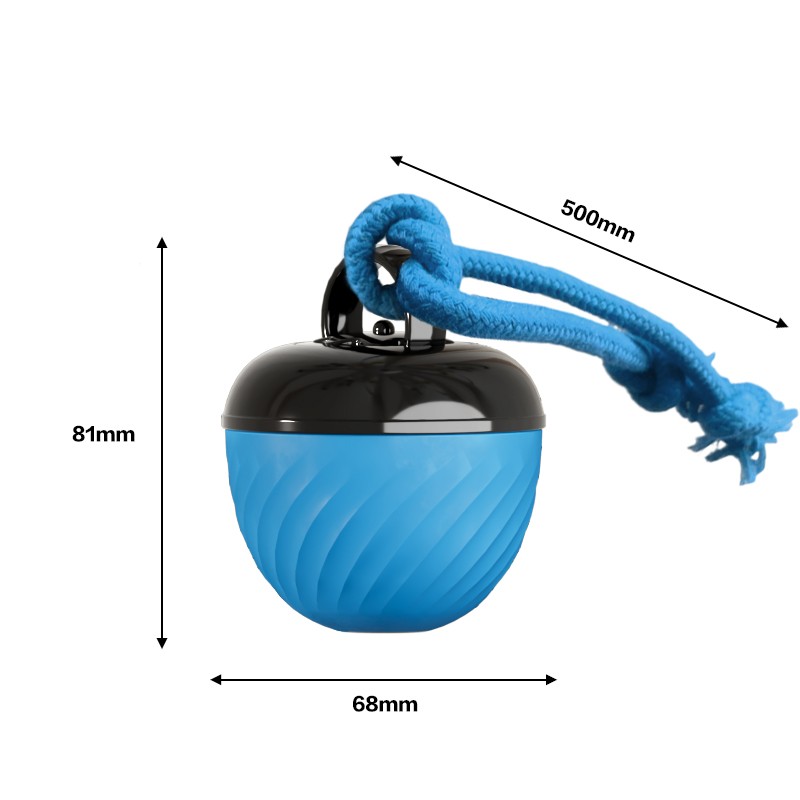 Smart Interactive Dog & Cat Toy Ball