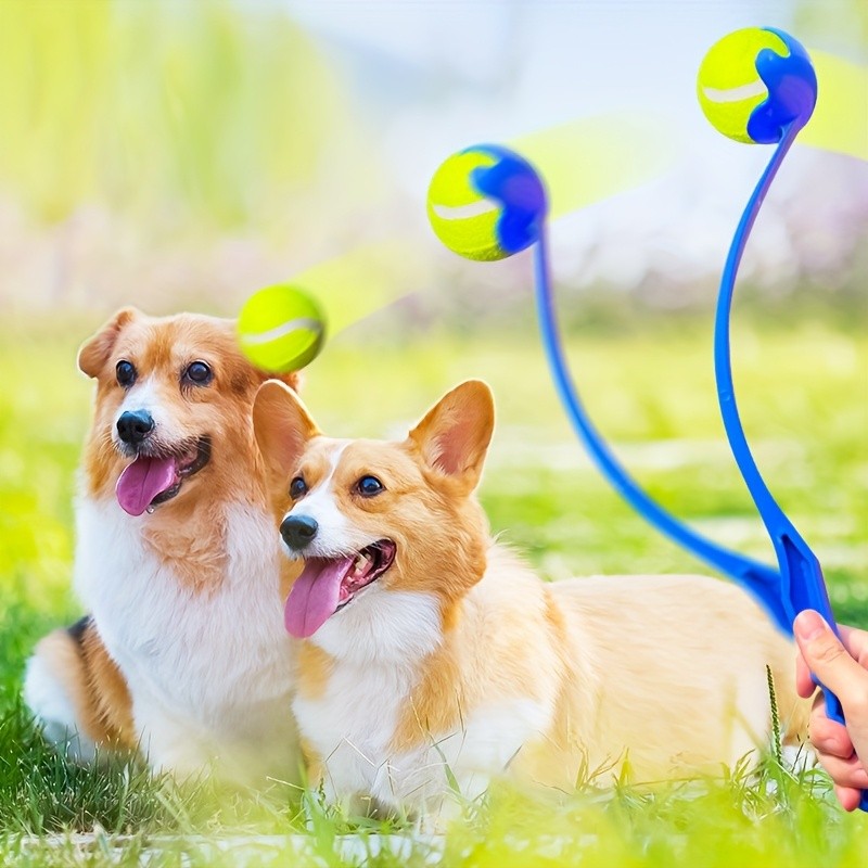 SPORTULI 2pcs Set Pet Ball Throwing Training Rod & Pet Tennis Ball