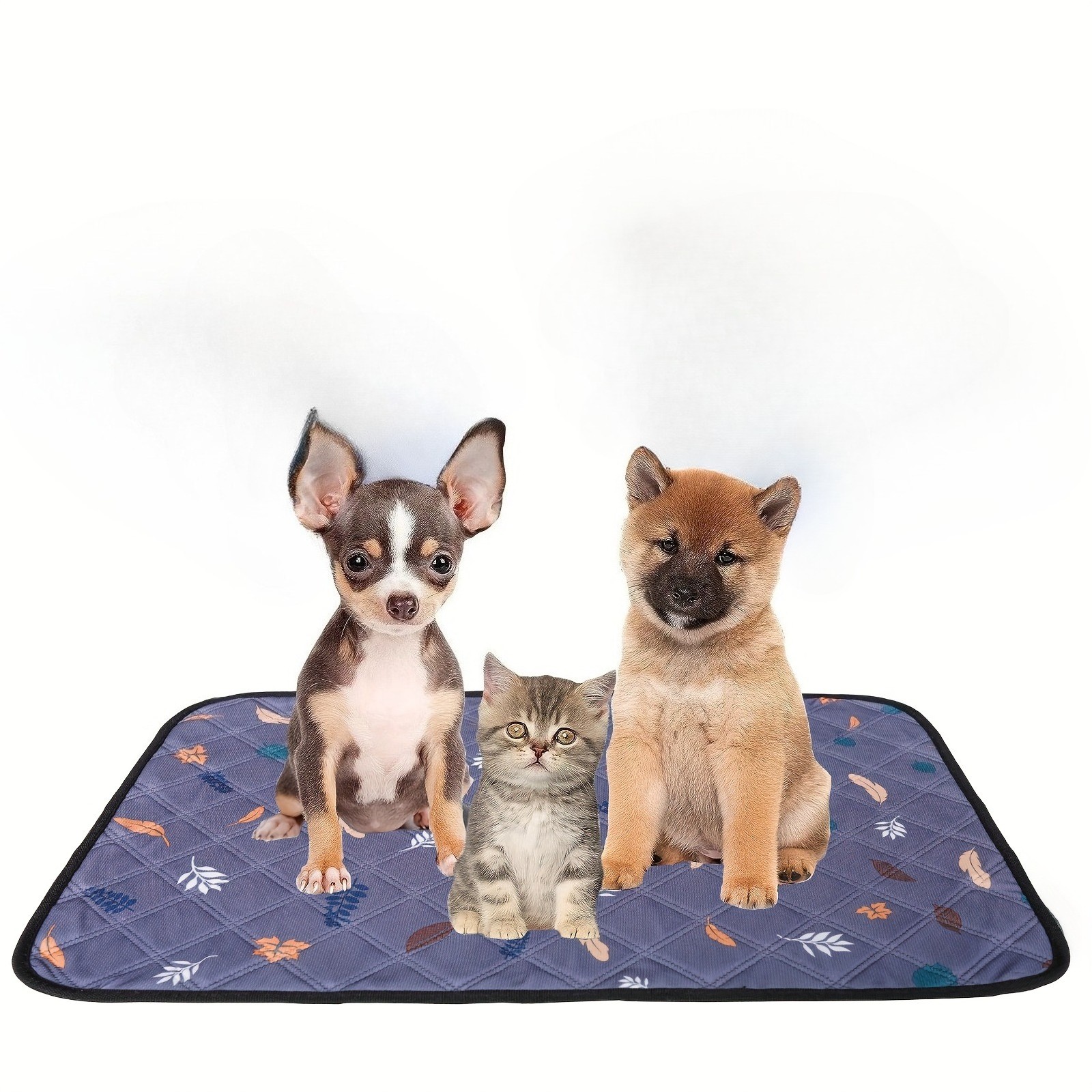 BRAIDOL Non-Slip Pet Mat