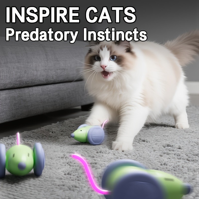 BRAIDOL Electric Mouse Car Toy