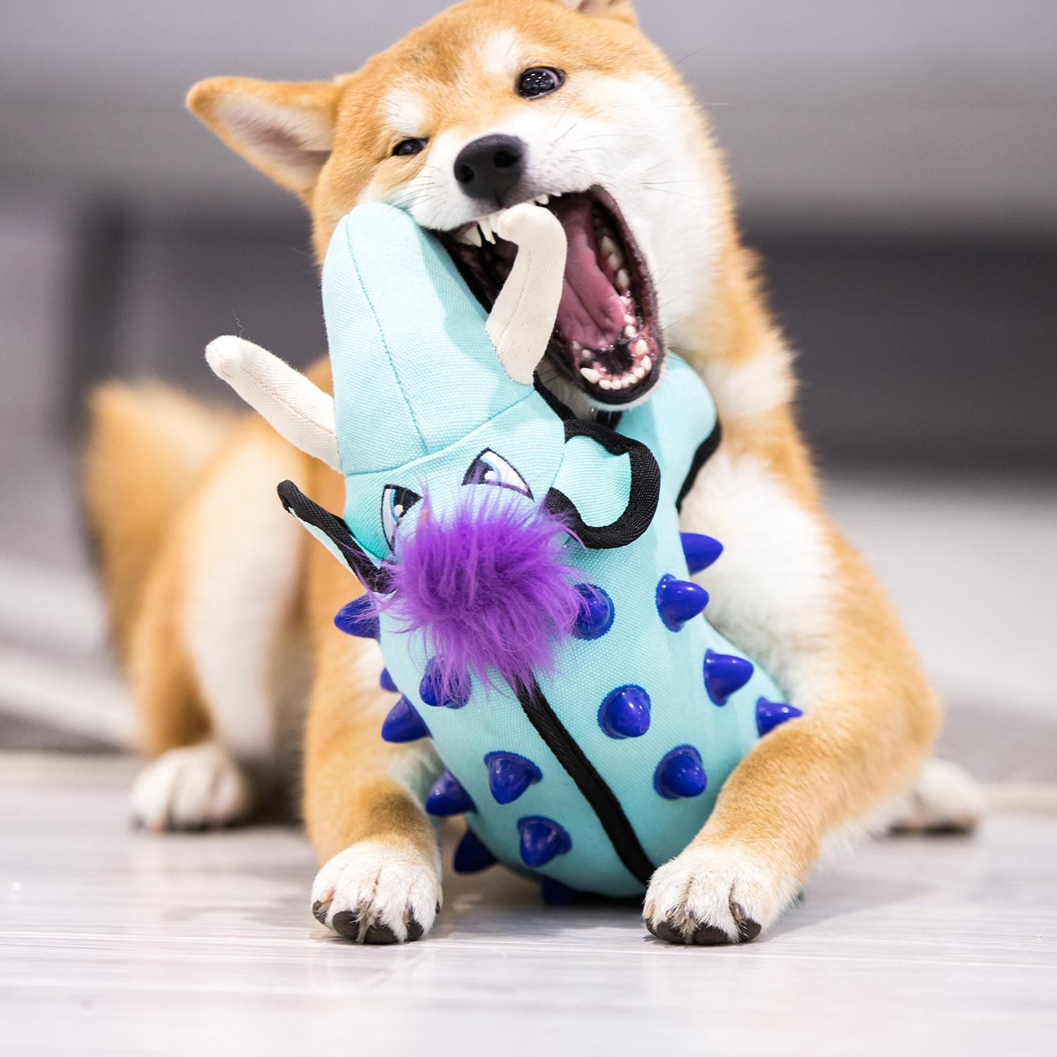 GiGwi Heavy-Duty Large Dog Chew Toy