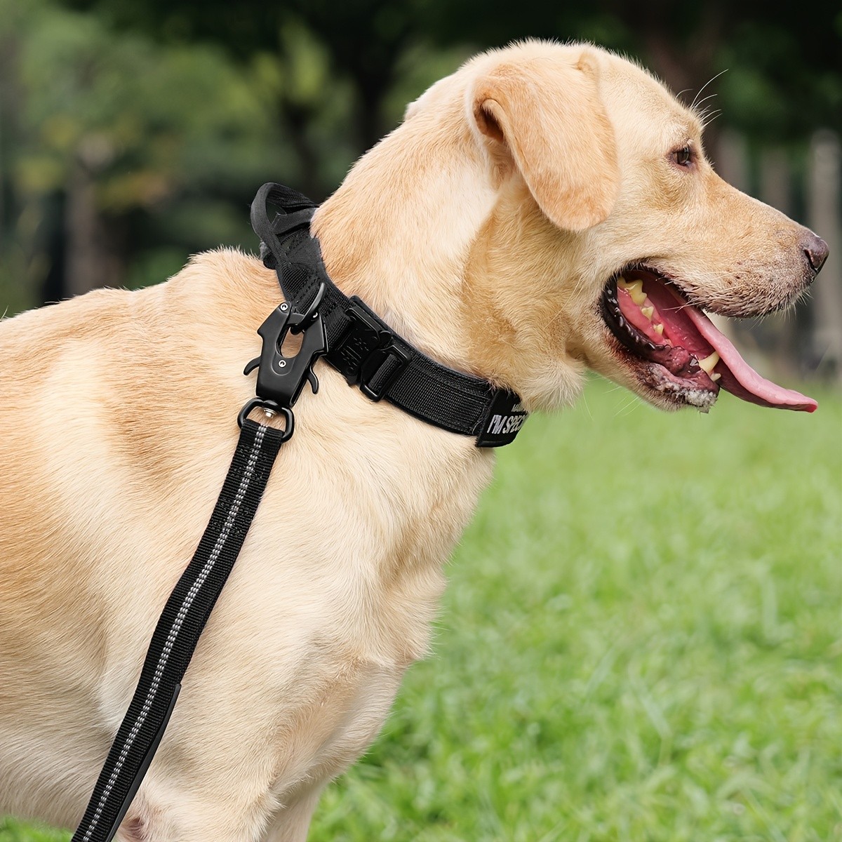 JOYTALE Heavy-Duty Dog Collar with Handle