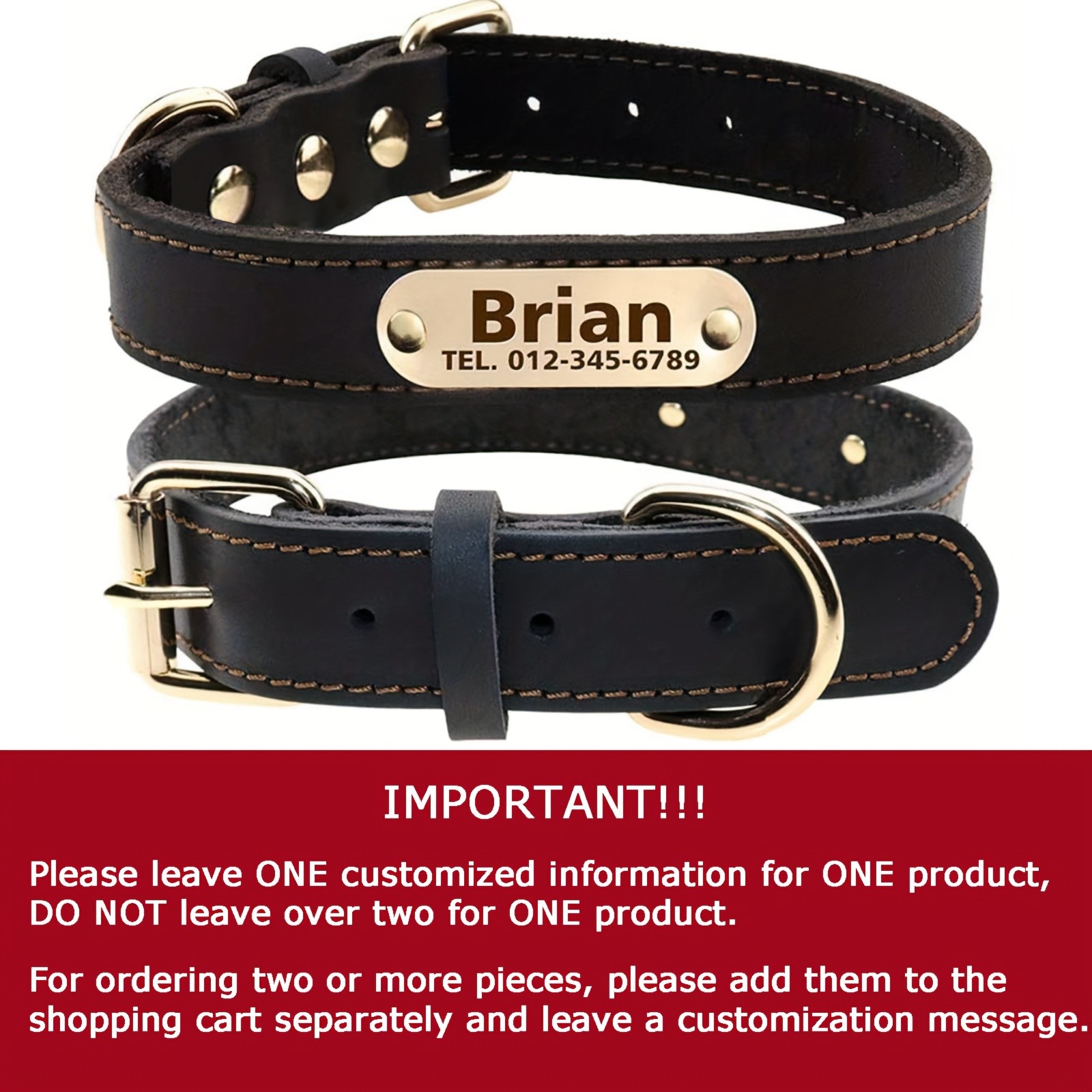 TAGME Personalized Leather Dog Collar with Nameplate