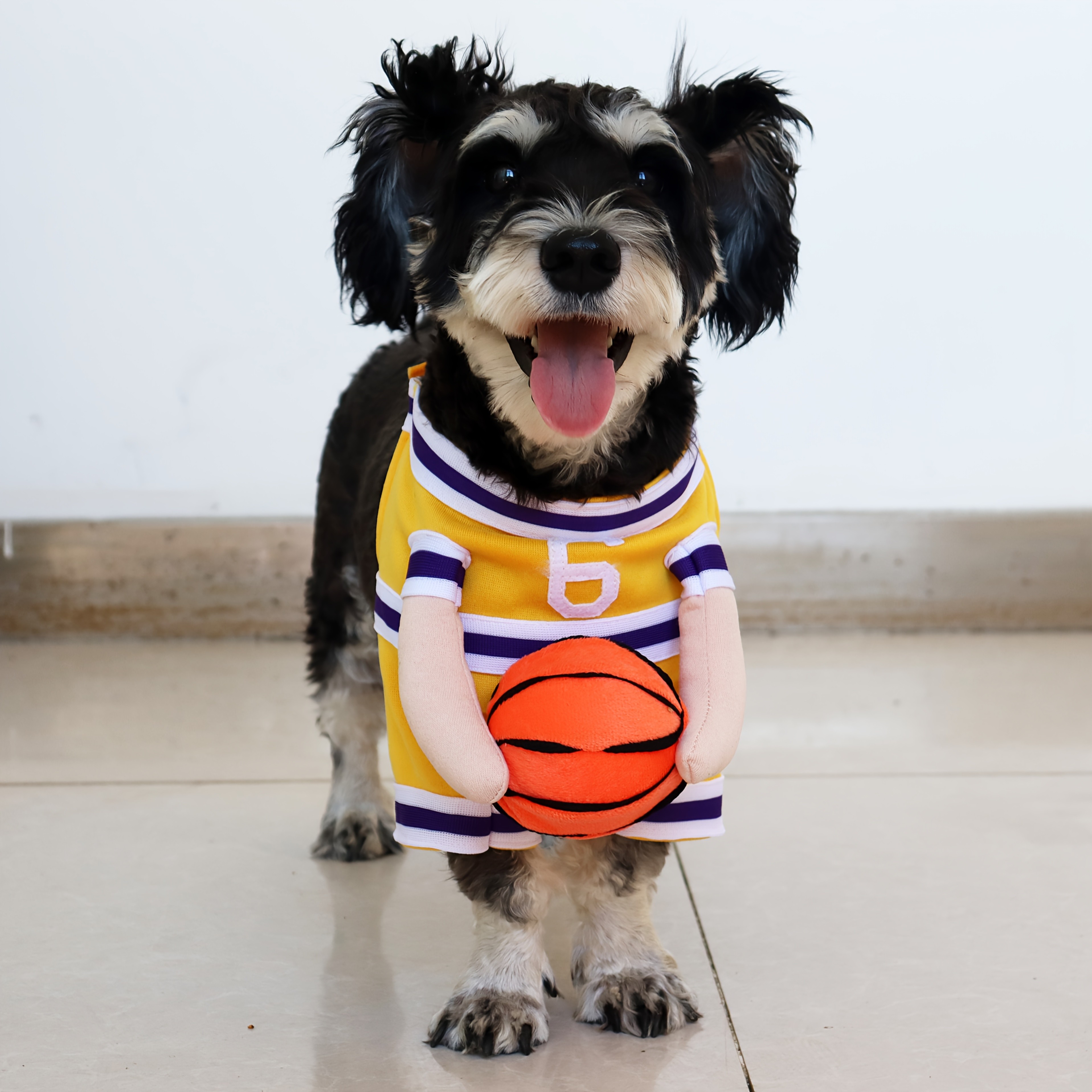 BAMDA Dog Basketball Player Outfit
