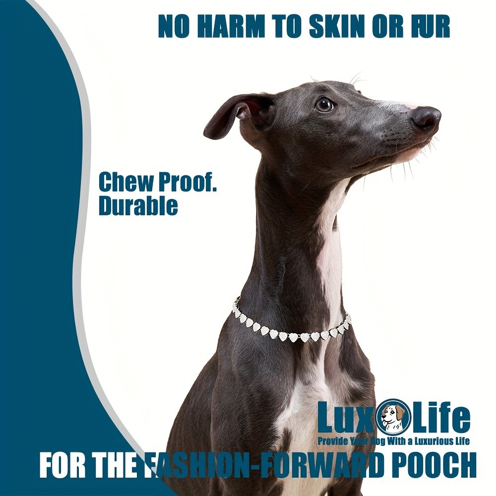 LUXLIFE Silvery Dog Chain Collar